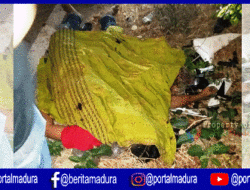 Diduga Ngantuk, Pemotor Tewas Hantam Pohon