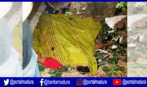 Satu korban tewas kecelakaan tunggal di Sampang