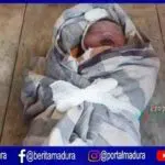 Warga Sera Timur Sumenep Temukan Mayat Bayi Baru Lahir