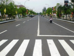 5 Arti Garis Putih di Jalan Raya yang Jarang Diketahui