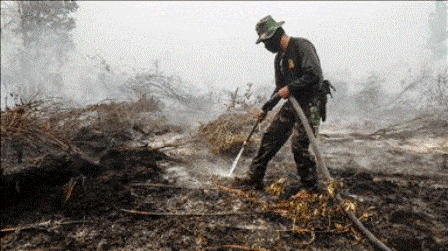 Anwar Ibrahim: Perusahaan Penyebab Kebakaran Hutan Harus Dihukum - Portalmadura.com Anwar Ibrahim Perusahaan Penyebab Kebakaran Hutan Harus Dihukum