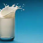 Beragam Manfaat Susu Beruang Untuk Kesehatan dan Kecantikan