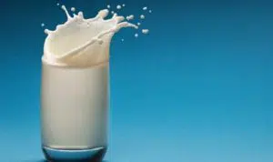 Manfaat Susu Beruang Untuk Kesehatan dan Kecantikan