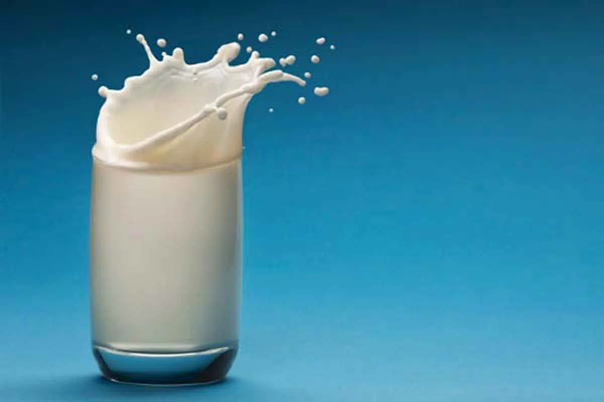 Manfaat Susu Beruang Untuk Kesehatan dan Kecantikan