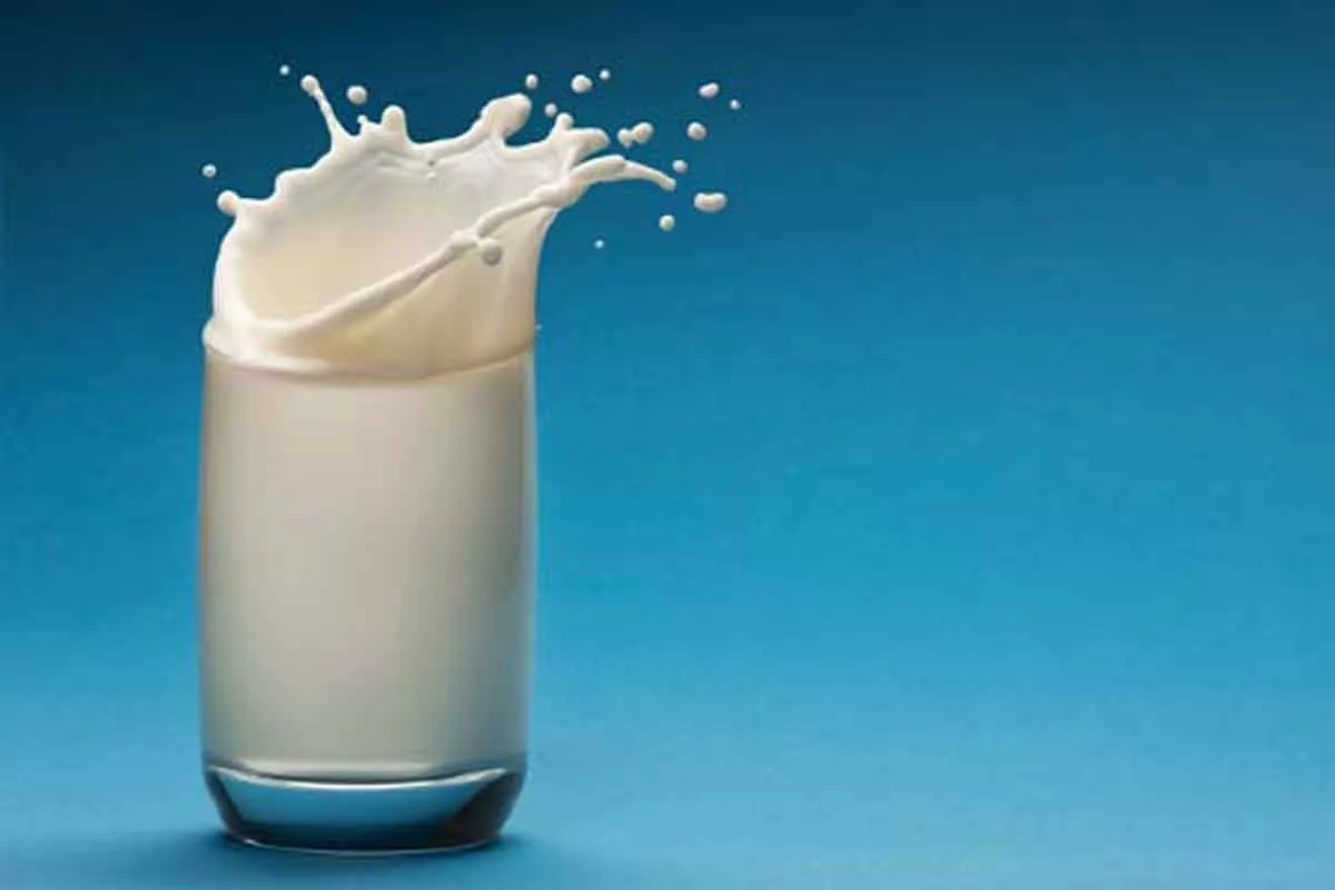 Manfaat Susu Beruang Untuk Kesehatan dan Kecantikan