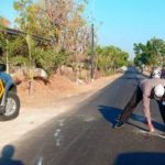 Bus Damri Membawa Maut di Madura