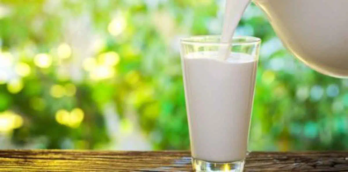 Ingin Kebiasaan Mendengkur Tak Semakin Buruk? Jangan Konsumsi 8 Makanan Ini