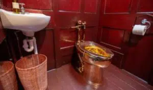 Digondol Maling, Toilet Emas di Istana Blenheim Inggris Raib
