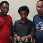Sapi Meronta, Maling di Madura Keok