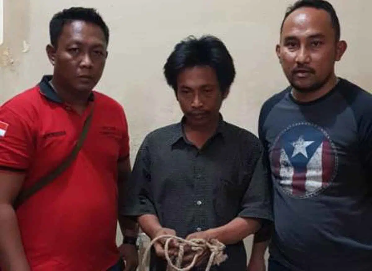 Sapi Meronta, Maling di Madura Keok