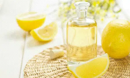 6 Jenis Minyak Sitrus dan Khasiatnya Bagi Kecantikan