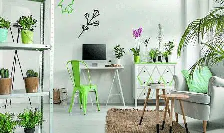7 Cara Cerdas Jadikan Rumah Sejuk Tanpa AC
