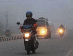 8 Cara Aman Berkendara di Tengah Kabut Asap
