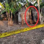 Kandang dan Dapur Ketua Panitia Pilkades Juruan Laok Dibakar OTD