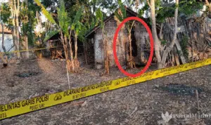Kandang dan Dapur Ketua Panitia Pilkades Juruan Laok Dibakar OTD