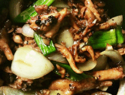 Resep Ayam Suwir Lada Hitam, Dijamin Bikin Nagih