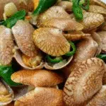Resep Tumis Kerang Batik Cabai Hijau yang Menggoda
