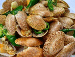 Resep Tumis Kerang Batik Cabai Hijau yang Menggoda