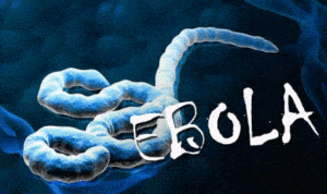 Uni Afrika Korban Tewas Ebola di Kongo Naik Jadi 2.150