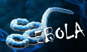 Uni Afrika Korban Tewas Ebola di Kongo Naik Jadi 2.150