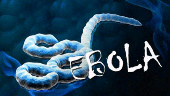 Uni Afrika Korban Tewas Ebola di Kongo Naik Jadi 2.150
