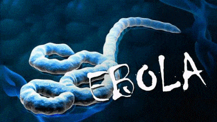 Uni Afrika Korban Tewas Ebola di Kongo Naik Jadi 2.150