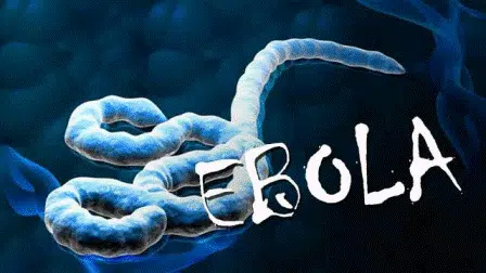 Uni Afrika Korban Tewas Ebola di Kongo Naik Jadi 2.150