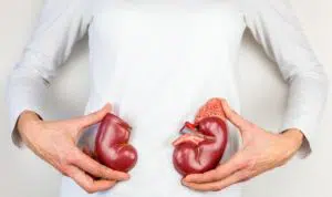 5 Manfaat Buah yang Bisa Menjaga Kesehatan Ginjal Anda