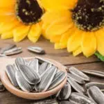 5 Khasiat Kuaci Bunga Matahari untuk Kesehatan