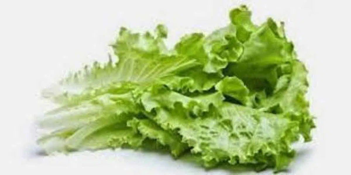 Rutin Konsumsi Selada Air, Ini 7 Manfaatnya untuk Kecantikan