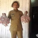 4 Varietas Bawang Merah Jadi Tanaman Unggulan di Pamekasan
