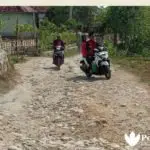 Jalan Desa Rusak Hambat Aktivitas Ekonomi Warga