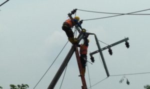 Pasca Puting Beliung, PLN Bangkalan Berjibaku Hidupkan Aliran Listrik