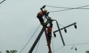 Pasca Puting Beliung, PLN Bangkalan Berjibaku Hidupkan Aliran Listrik