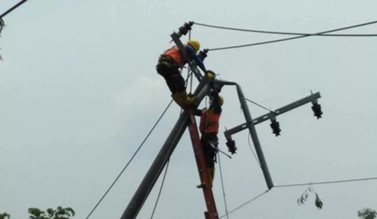 Pasca Puting Beliung, PLN Bangkalan Berjibaku Hidupkan Aliran Listrik