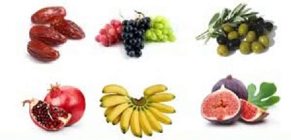 Masya Allah! 6 Buah Ini Tercatat dalam Alquran