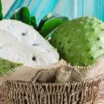 Efek Samping Daun Sirsak untuk Kesehatan