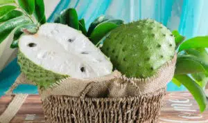 Efek Samping Daun Sirsak untuk Kesehatan