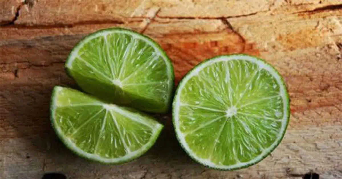 Minum Jeruk Nipis Bisa Bikin Perempuan Cepat Hamil, Benarkah?