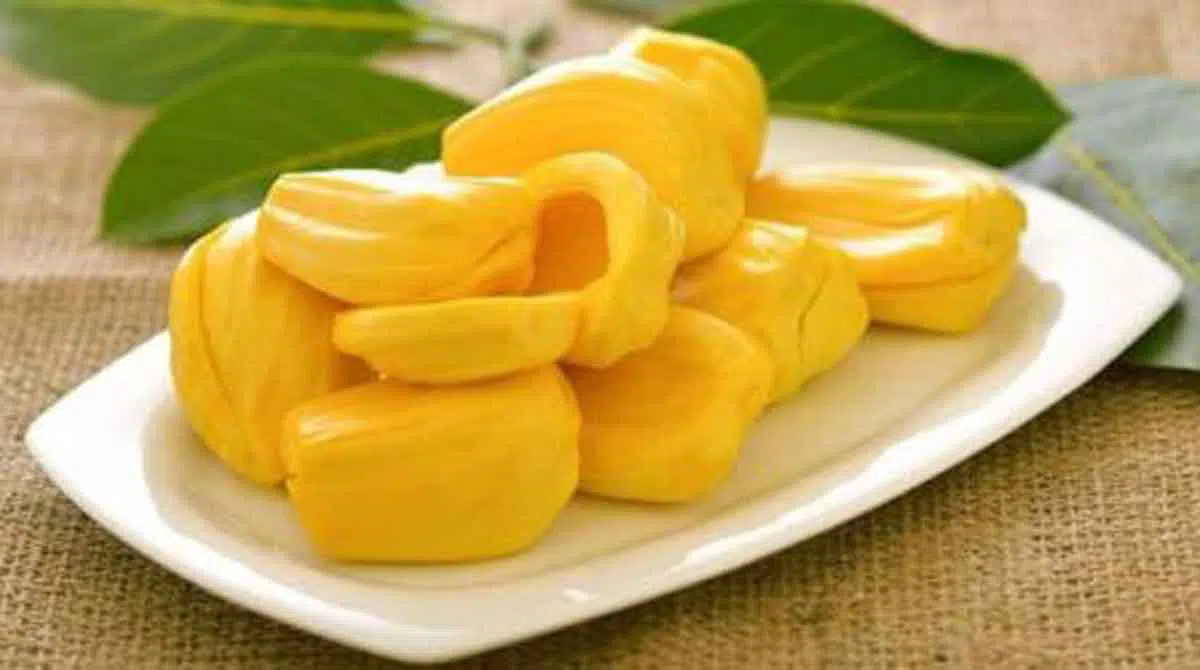 5 Tren Makanan yang Akan Hits 2020