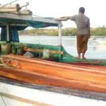 Diringkus Petugas, Warga Kangayan Sumenep Diduga Terlibat Pembalakan Liar