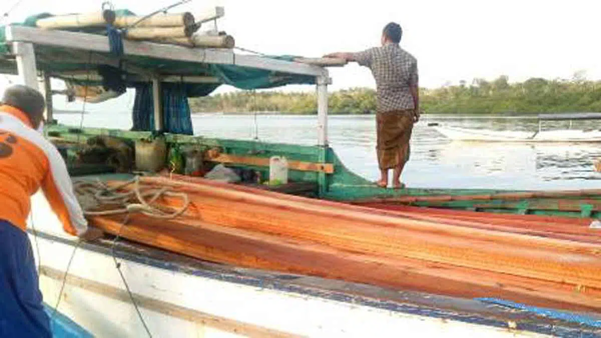 Diringkus Petugas, Warga Kangayan Sumenep Diduga Terlibat Pembalakan Liar