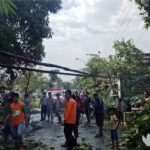 Hujan Disertai Angin Kencang, Rumah-rumah Penduduk Rusak di Pamekasan