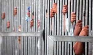 Selama Sepekan Terakhir, Turki Tangkap 3.000 Migran Ilegal