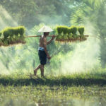 Takdir Allah dan Hukum Alam, Apa Itu? Ini Penjelasannya