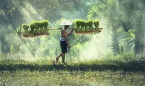 Takdir Allah dan Hukum Alam, Apa Itu? Ini Penjelasannya