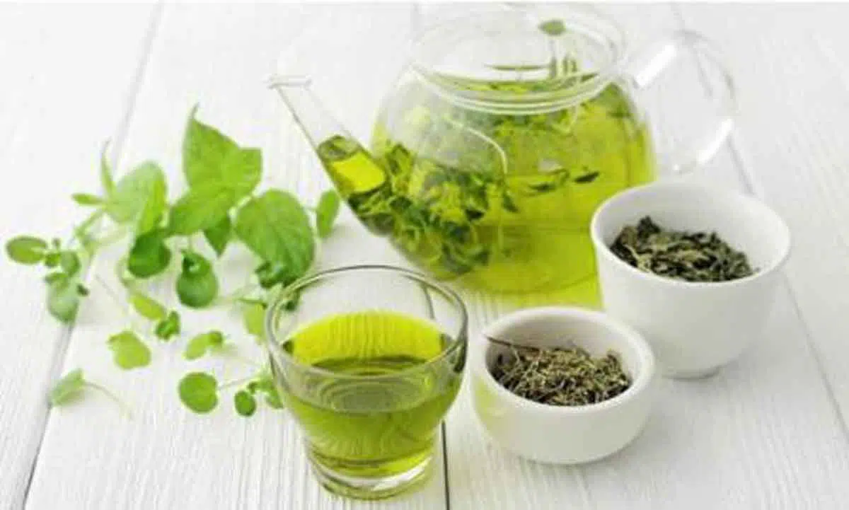 Toner Alami dari Argan Oil dan Teh Hijau Ini Bisa Basmi Jerawat