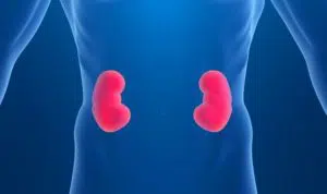 Yuks, Intip 4 Cara Alami bisa Sehatkan Ginjal Anda?