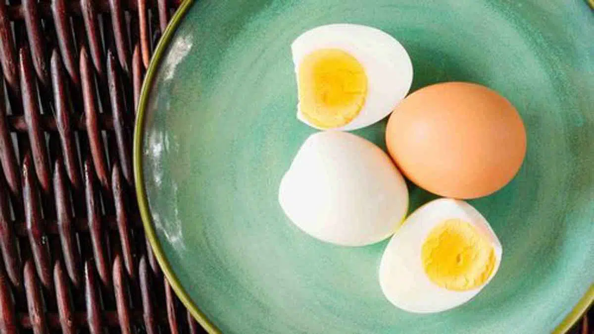 4 Manfaat Konsumsi Satu Butir Telur bagi Kesehatan