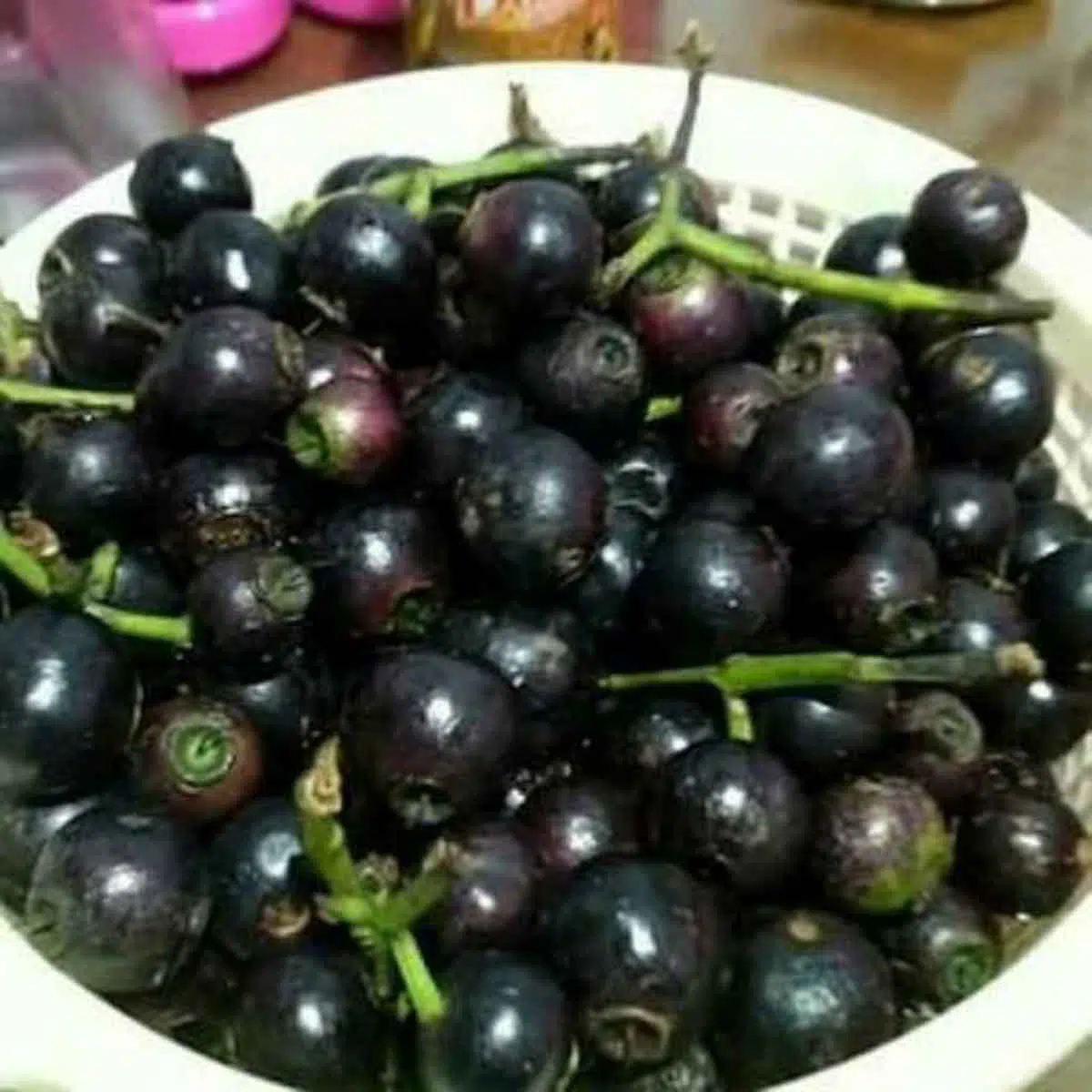 5 Manfaat Buah Gowok yang Bagus Bagi Kesehatan Anda